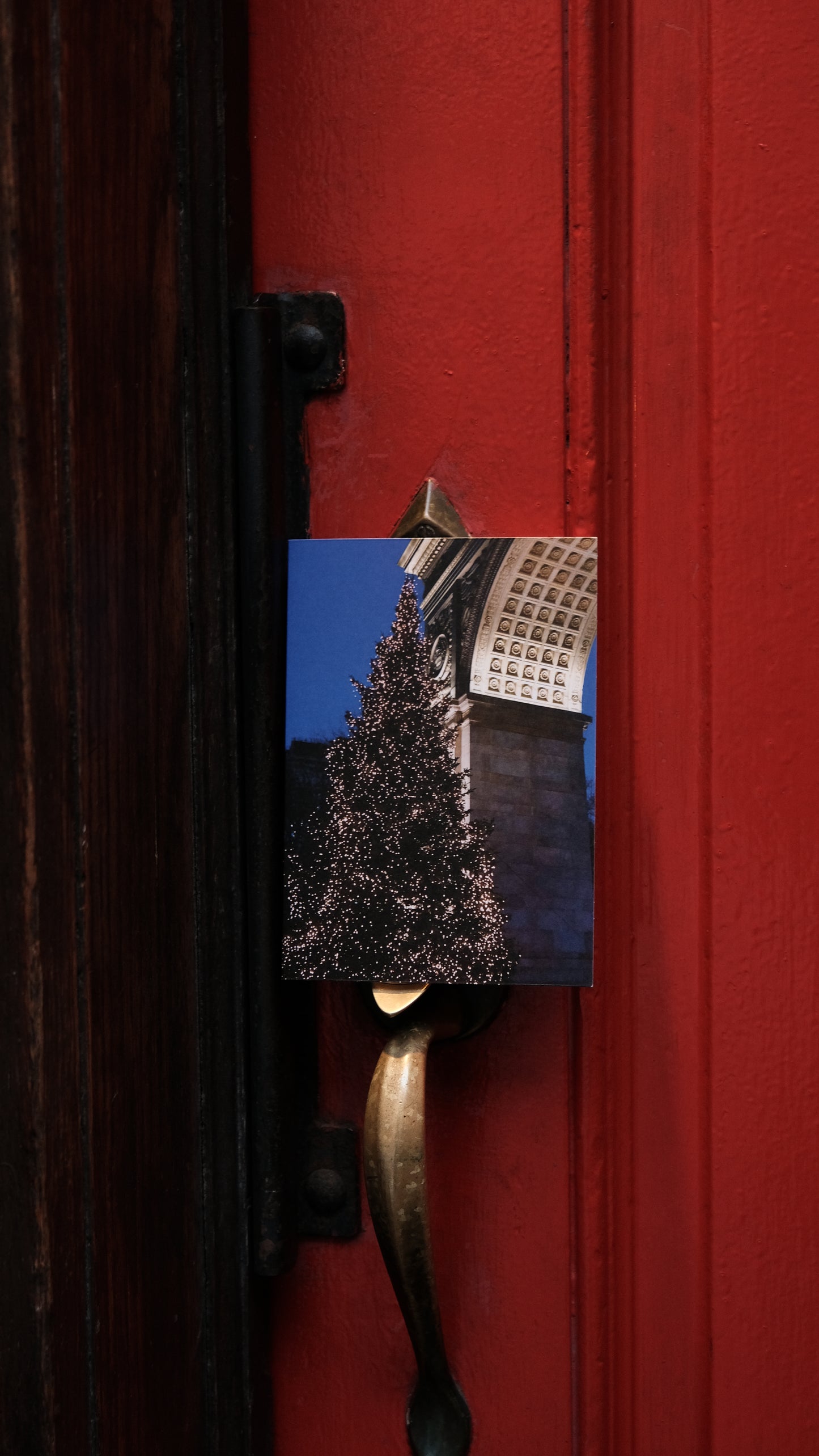 HOLIDAY MIXED CARD SET OF 5 (GREENWICH)