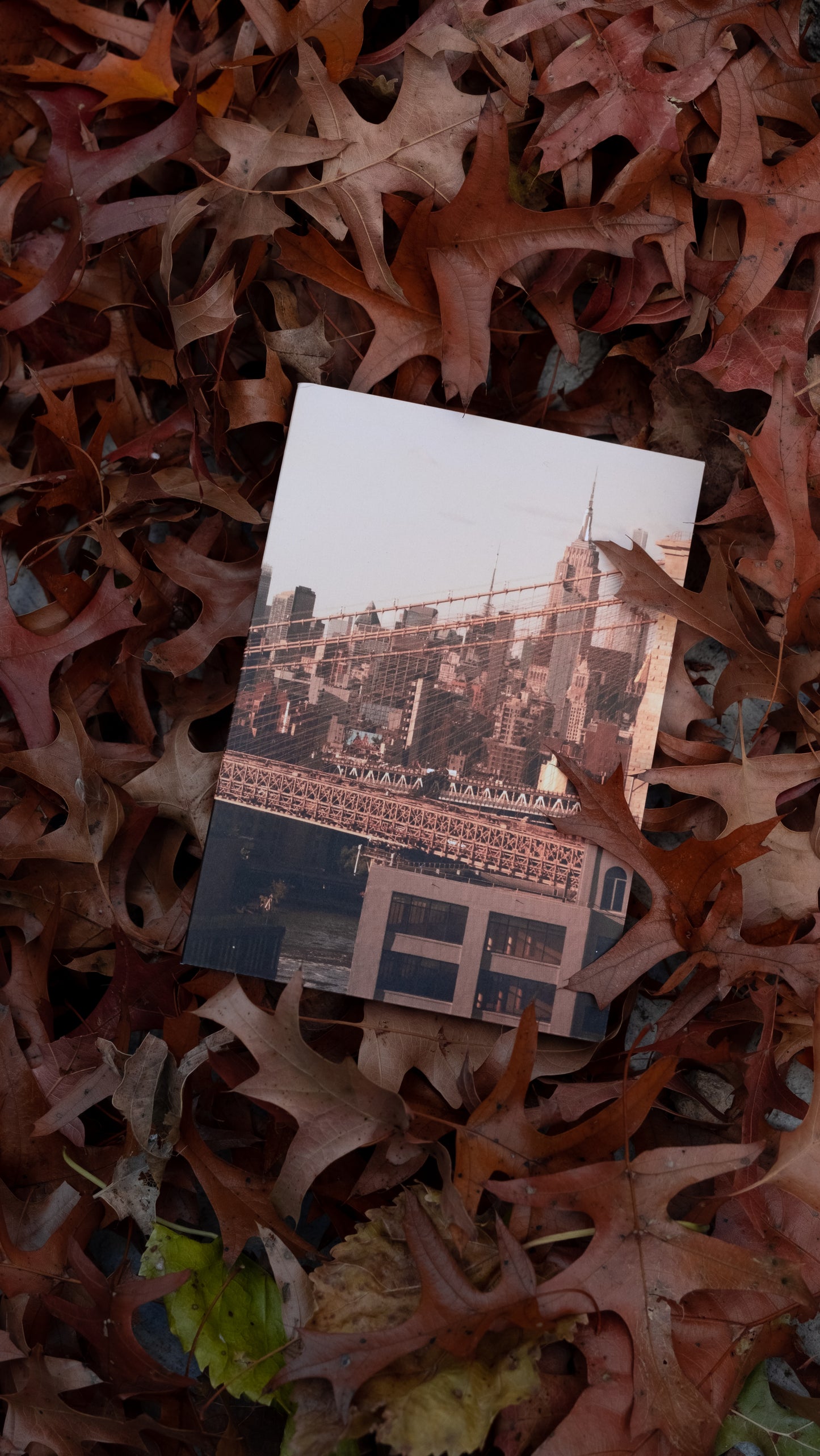 NYC GREETING CARD SET | EMPIRE STATE BUILDING BK